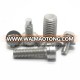 Manufacture Provide Stainless Steel Screws